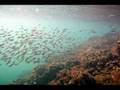 Play and Win - Black Sea 