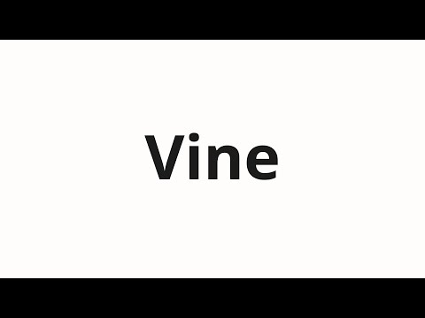 How to pronounce Vine