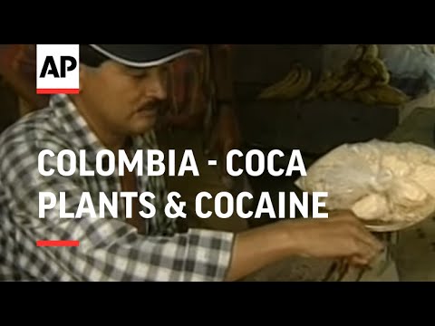 COLOMBIA: COCA PLANTS & COCAINE