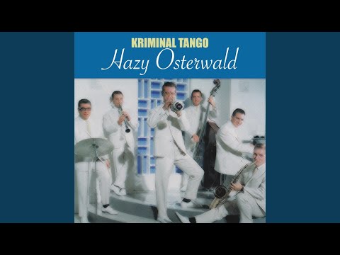 Schwarzer Kater Stanislaus