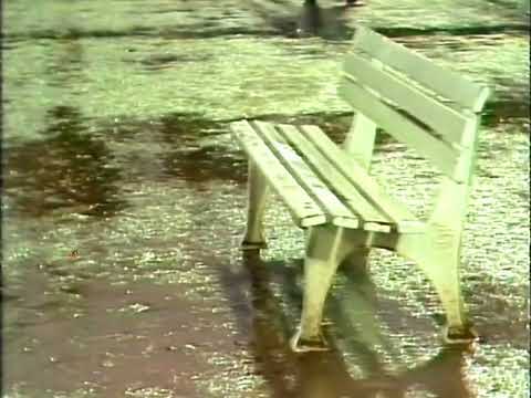 1987/1988 2. Bundesliga 19. Spieltag Darmstadt 98 - VfL Osnabrück