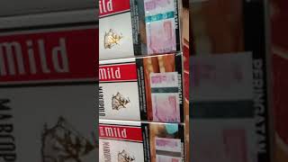 Download lagu Roko Marcopolo Mild kretek mp3