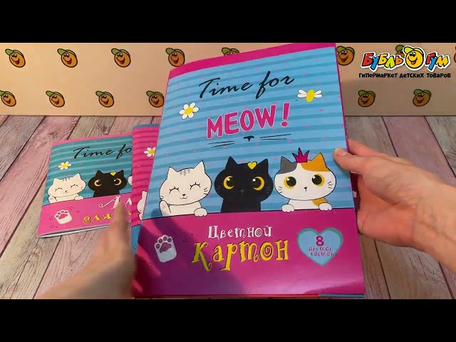 Набор отличника Котята подарочный с канцелярией  - видео