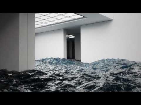 Nau Leone - All We Have Is Now (Album Visualizer)