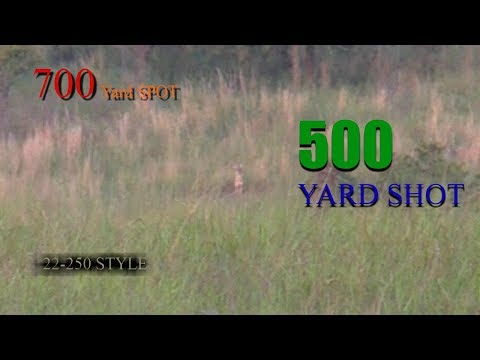 COYOTE HUNTING-- 700 YARD SPOT  500 YARD SHOT  22-250 STYLE
