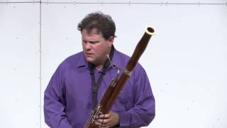Paul Hanson-29 Palms in Sacramento-Electric Bassoon