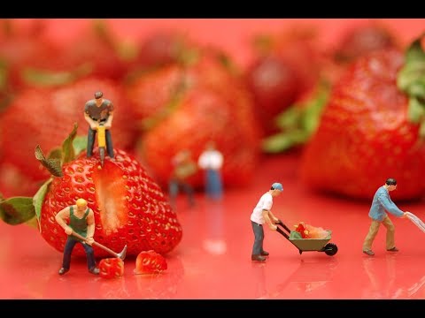 DOERS, WATCHERS TALKERS WHICH ONE ARE YOU?