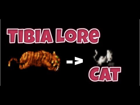 Tibia Cat Lore