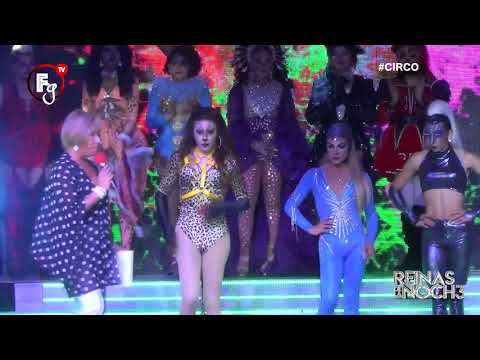 REINAS DE LA NOCHE 3 / SEMANA 22 - CANAL FARANDULA GAYI