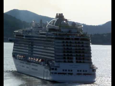 Tomislav Bralic - Ne mogu te prestat jubit (Regal Princess)