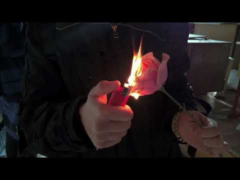 FRAUD! X TRIPPYTHAKID - 5G IN MY BLUNT(prod. Pasta)