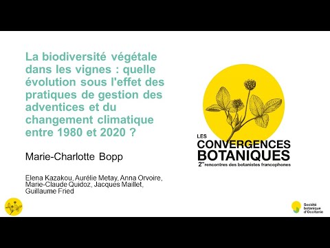 , title : 'Convergences botaniques 2021 - 13.  Flore des vignobles du Montpelliérais (Marie-Charlotte Bopp)'