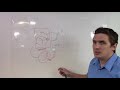 Reverse Engineering The Robinson Annulation