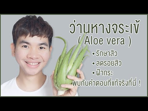 เพิ่มสมาชิกรัด อายุรเวทที่มีความอ่อนแอ
