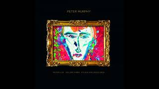 Peter Murphy - The Scarlet Thing in You - 1995