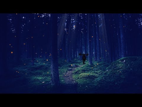 download lagu mp3 mp4 Enchanted Forest Hours, download lagu Enchanted Forest Hours gratis, unduh video klip Enchanted Forest Hours