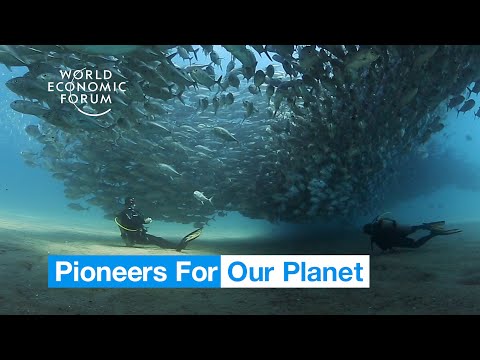Planet 4 prievadų 802.3 ir 30 W didelės galios per Ethernet purkštuko šakotuvas – 120 W išorinis maitinimo adapteris video