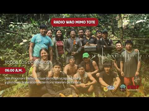Radio Wao Mimo Tote - Proceso de linderación junto a Nee Wanonani Meñebai
