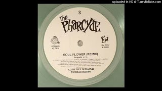 The Pharcyde - Soul Flower (Remix) Acapella