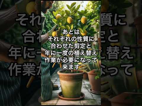 果樹を遅霜から守るにはどうすればよいですか？魔法のヒントとコツ！  庭園