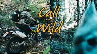 Chasing Solitude: Riding My Enduro into the Wild to Reclaim My Spirit