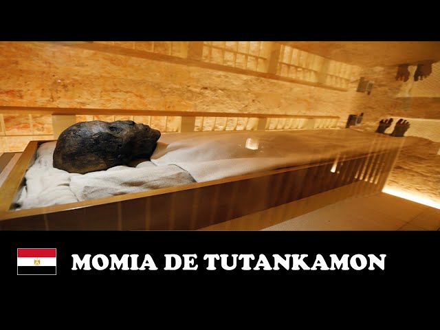 Vídeo relacionado con AM-HEH: El Devorador de Millones - La Arquitectura del Terror y la Alta Magia Funeraria (EGIPTO)