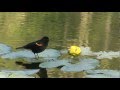 River of Dreams - From our DVD "Meditation Moods"