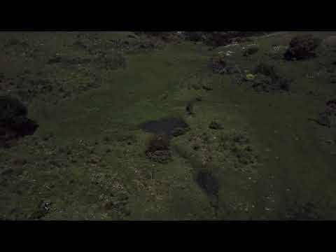 Campo de 90 hectáreas a la venta en Barriga Negra