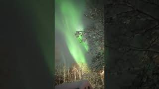 Man Has Amazing View of Aurora Borealis From His Front Door || ViralHog