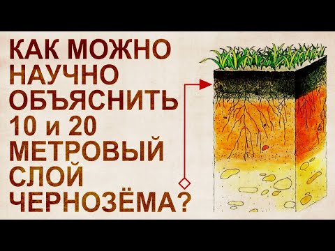 Почвы России. О чём молчат ученые