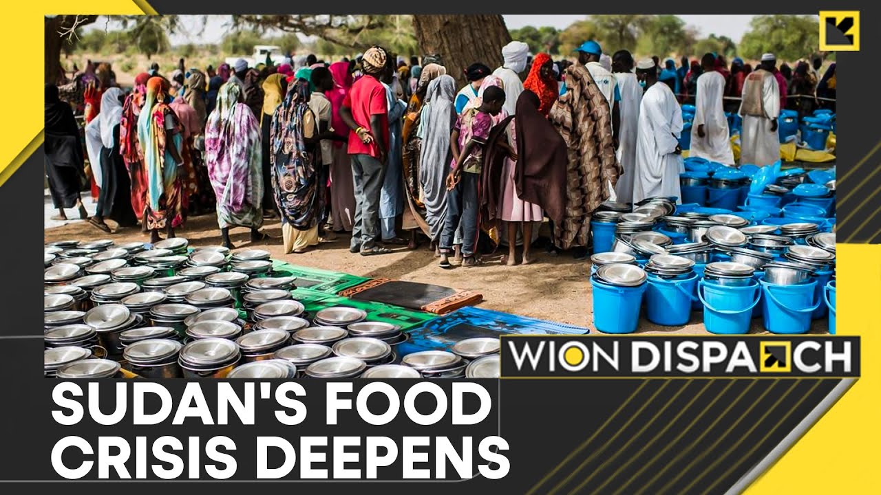 Sudan Crisis: Millions Facing Acute Food Insecurity as Conflict Efforts Fail | WION Dispatch