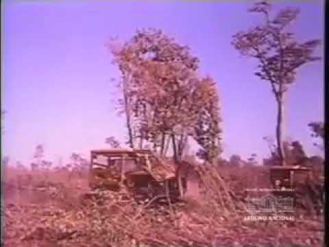 CONSTRUÇÃO DA USINA DE SÃO SIMÃO GOI