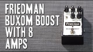 Video thumbnail for Friedman Buxom Boost - Review with 8 Amps (2nd upload) by EytschPi42