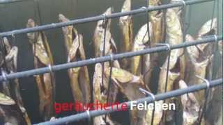 preview picture of video 'Geräucherte Felchen - Smoked Fish'