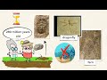 Rock Formations What S Hiding Under A Rock MightyOwl Science 4th Grade