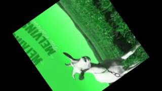 Melvins - I Told You I Was Crazy