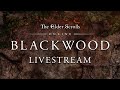 The Elder Scrolls Online: Blackwood Chapter Preview Livestream