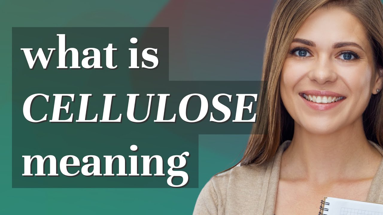 Cellulose | meaning of Cellulose