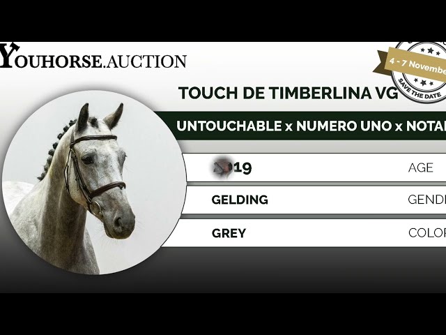 Touch de Timberlina VG