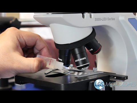 How To Use Immersion Oil