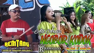 Download lagu NGOBOR KODOK All Artis NEW PALLAPA live REMTANG COMMUNITY Tanggul Malang Kendal September 2022 mp3