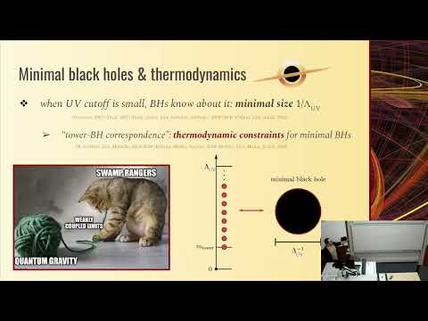 Eurostrings 2024 - 04/09/24 - Ivano Basile