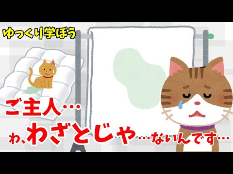 猫がおねしょをするのにはどのような意味があるのでしょうか?