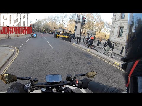 Daily Observations 281