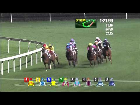 Horse Of Fortune - Karis Teetan (24 February)