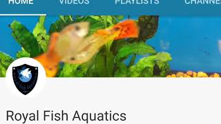 Royal Fish Aquatics subscriber giveaway contest unboxing