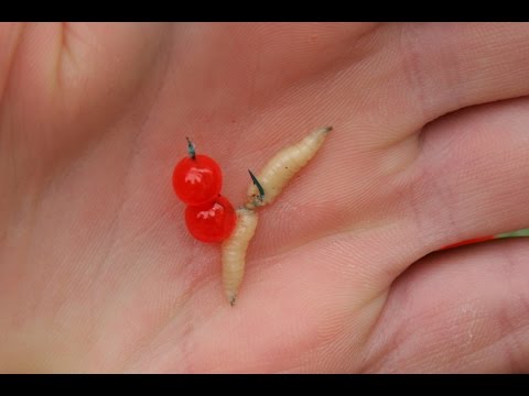 Trout Lake Basics 5: Surface Mounts