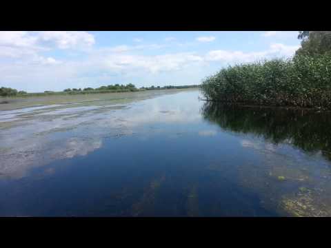 Plimbare Delta Dunarii - Pensiunea Cristal