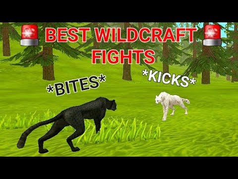 WILDCRAFT FIGHTS AND ARGUMENTS (Part One..?)