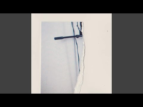 Briefbomben - Buntspecht